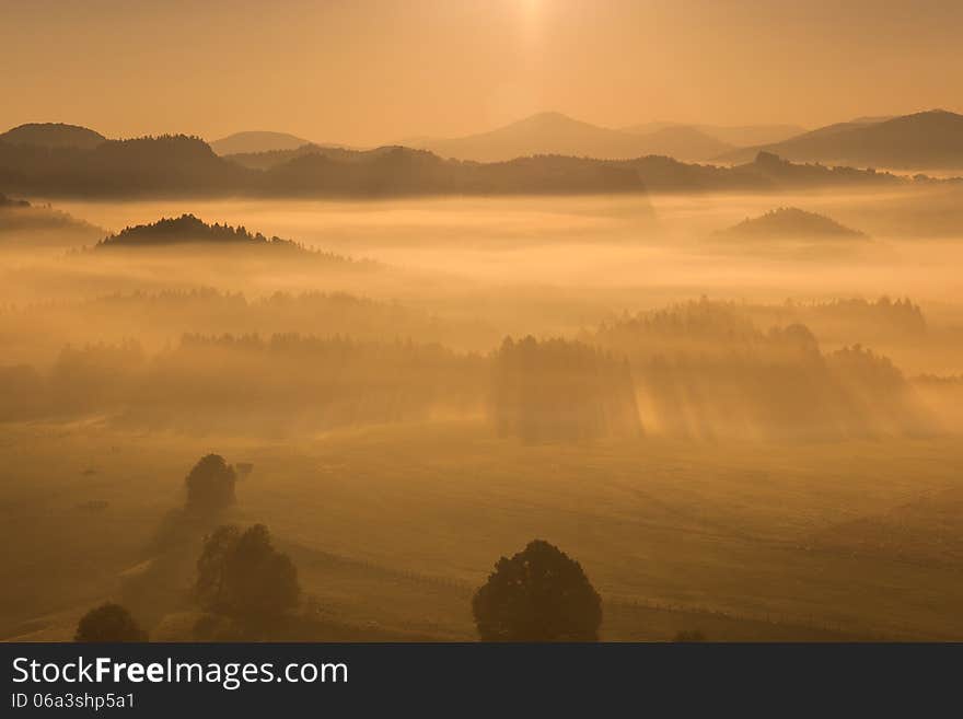 Fog in the valley in the forest. Fog in the valley in the forest