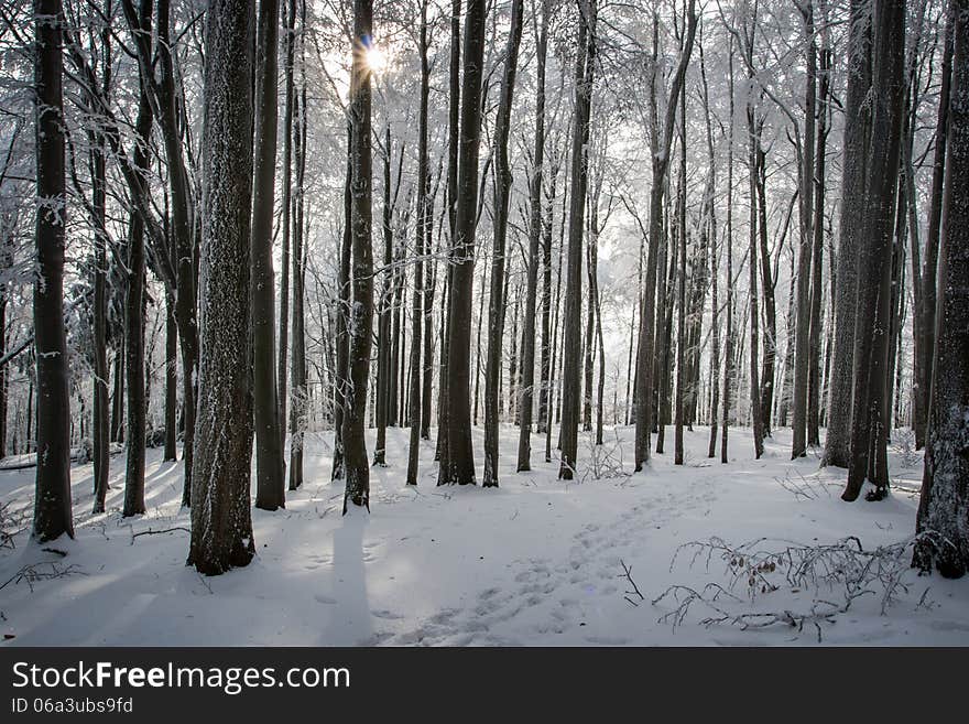 Landscape with snow