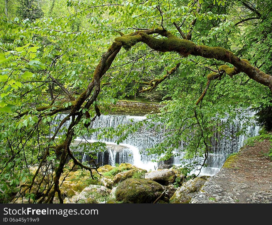 A peaceful walk through the wooded forest around Auvernier, Switzerland, bring you to this waterfall scene, of trickling ribbons of water meandering over the rock edge, gathering in the pool below. A peaceful walk through the wooded forest around Auvernier, Switzerland, bring you to this waterfall scene, of trickling ribbons of water meandering over the rock edge, gathering in the pool below.