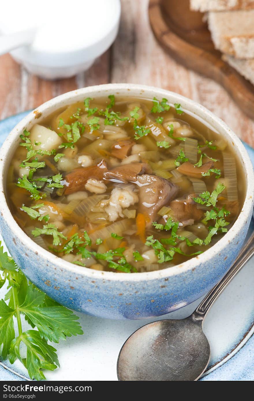 Bowl of mushroom soup with pearl barley, top view