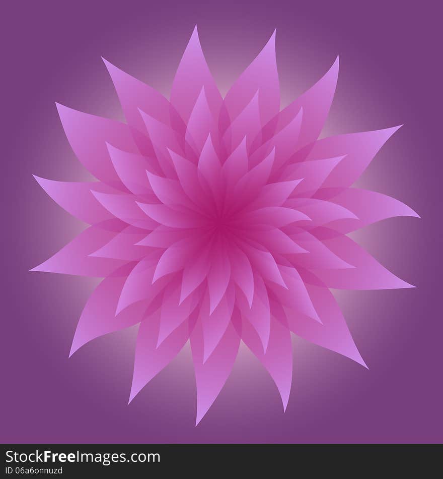 Lilac Flower on Violet Background