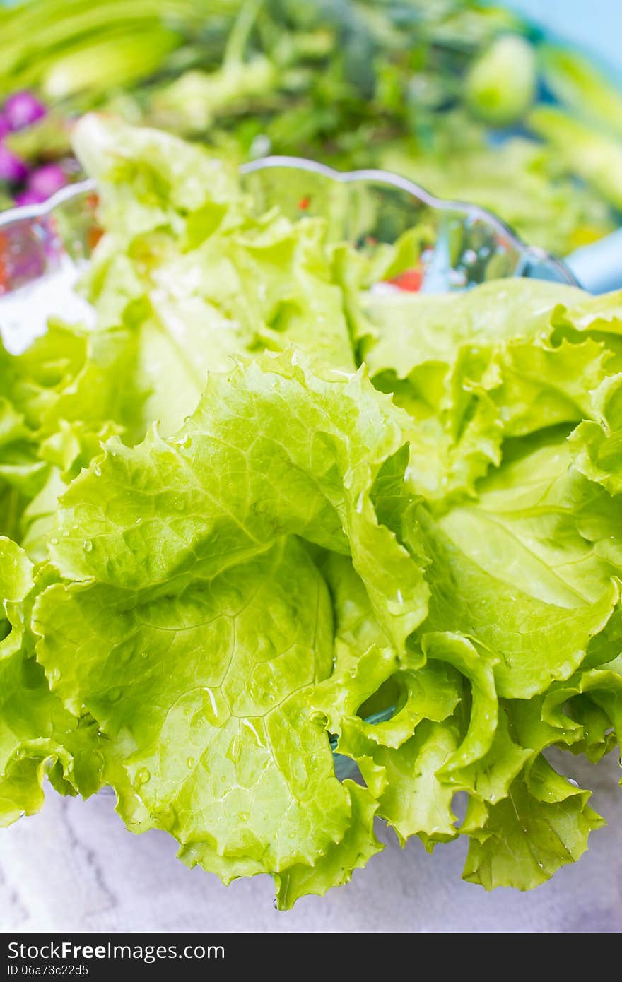 Fresh lettuce in the glass bowl