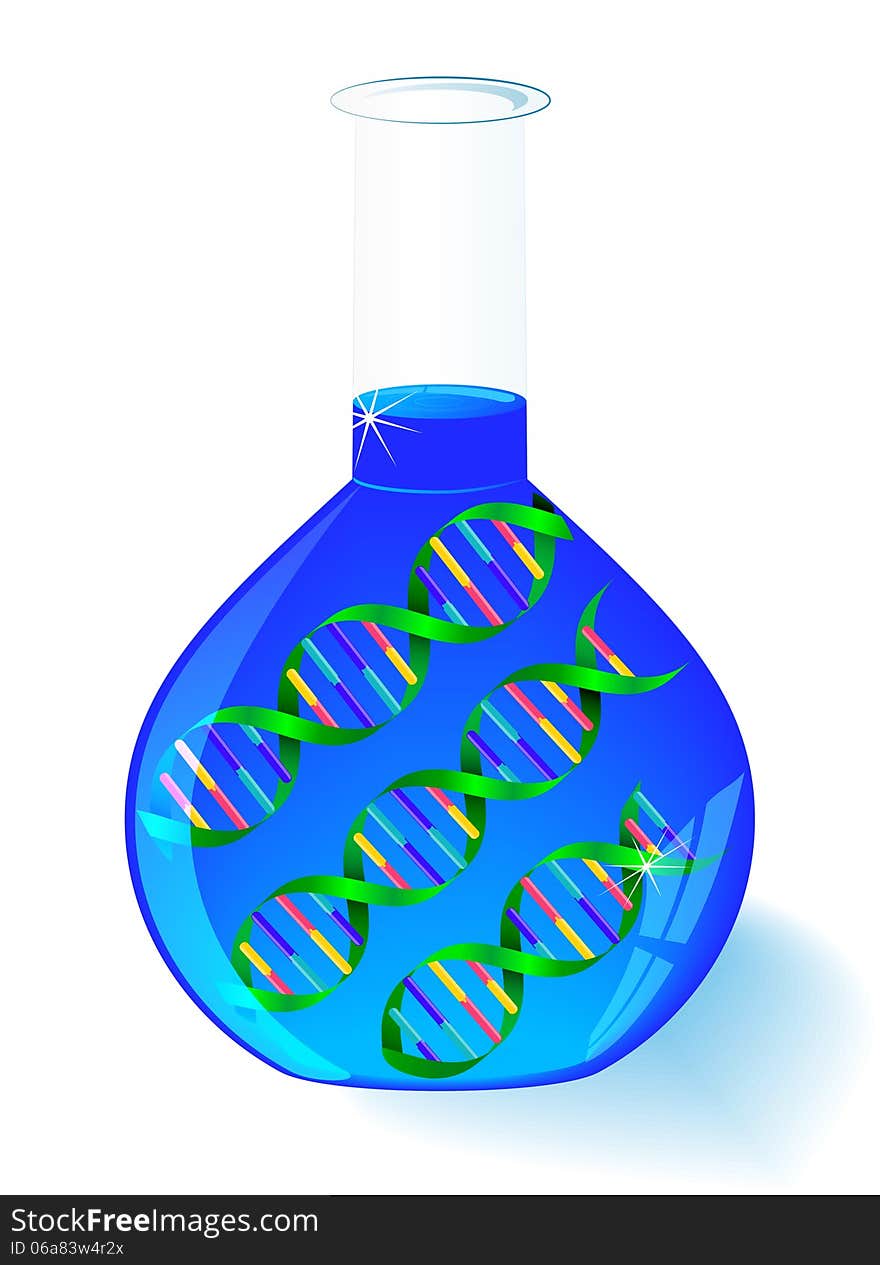 DNA in flask