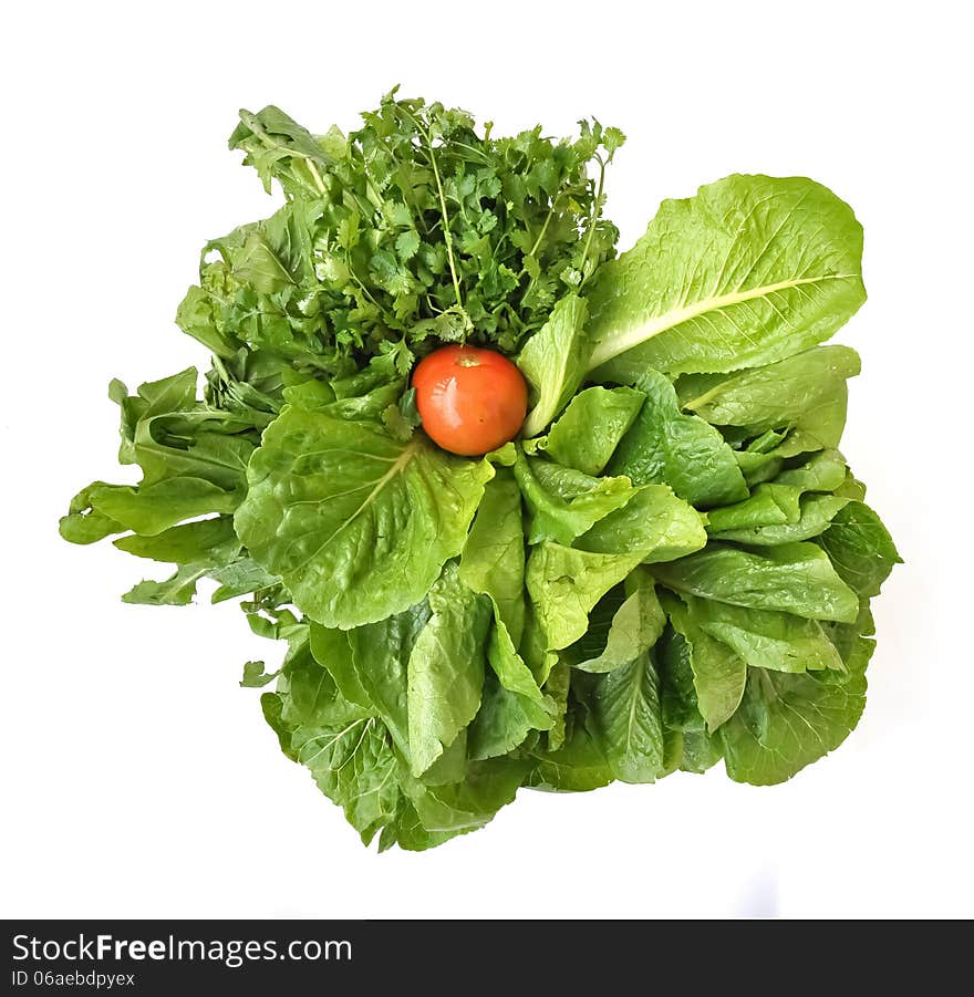 Fresh Vegetables