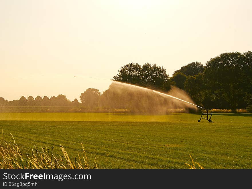 Summer green meadow under the sun irrigated sprinkler system