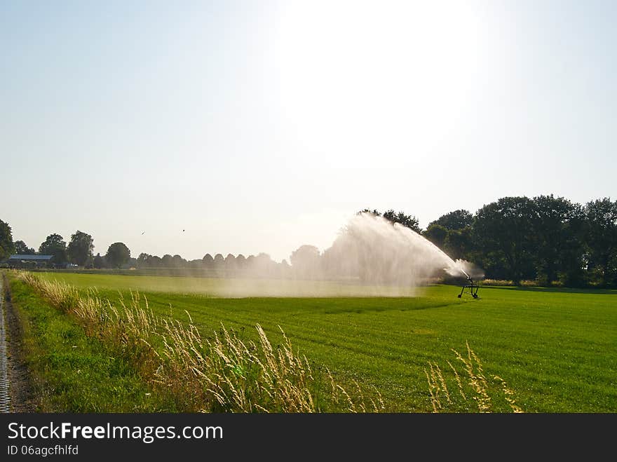 Summer green meadow under the sun irrigated sprinkler system