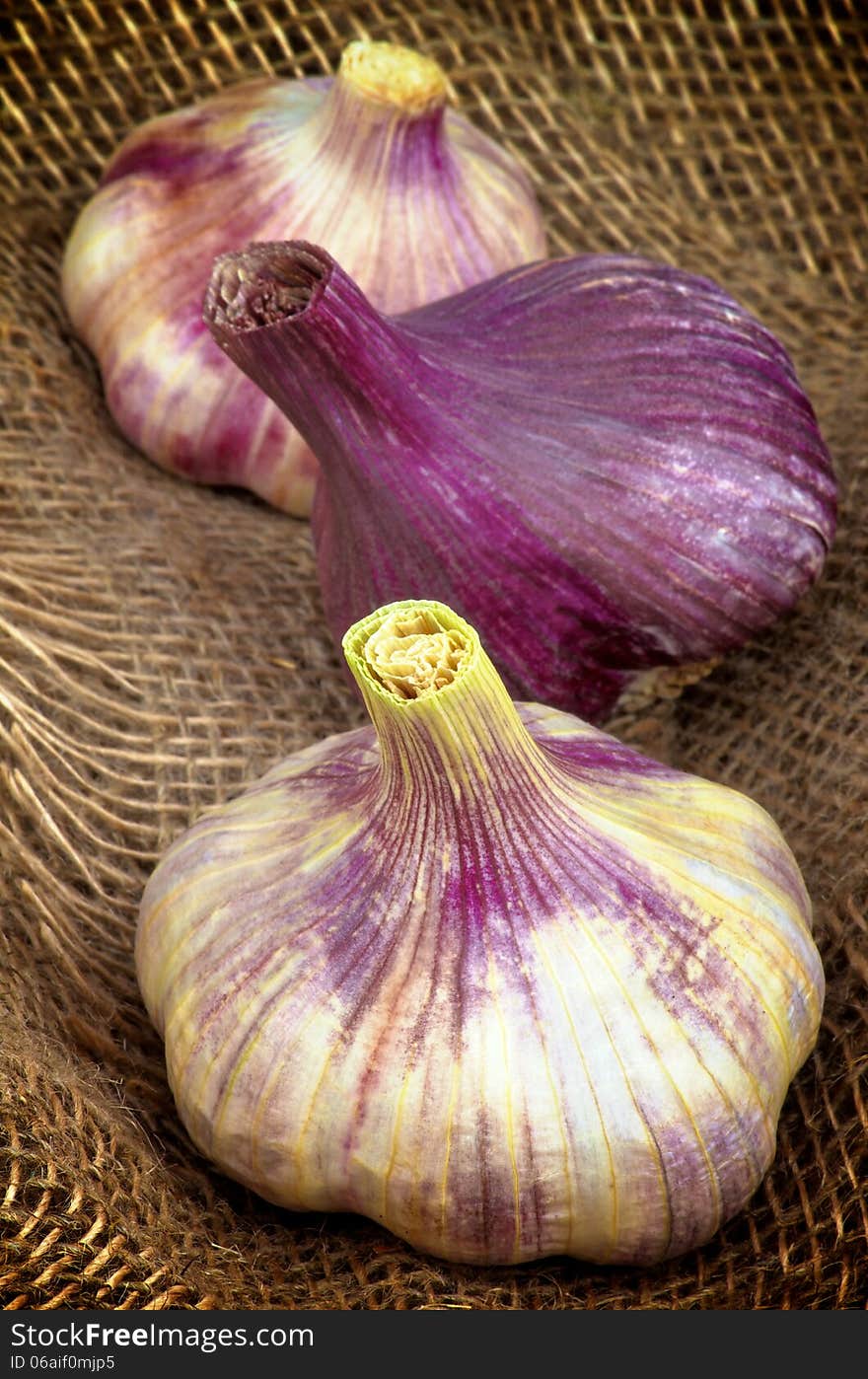 Three Perfect Pink Garlic closeup on Burlap background