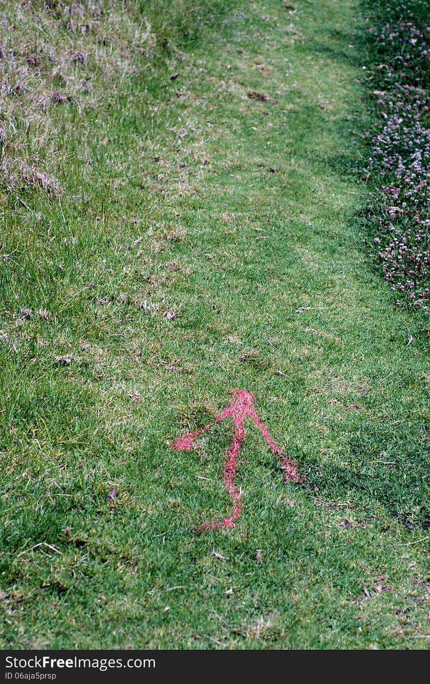 Arrow survival sign on the ground of a path in the nature. Arrow survival sign on the ground of a path in the nature.