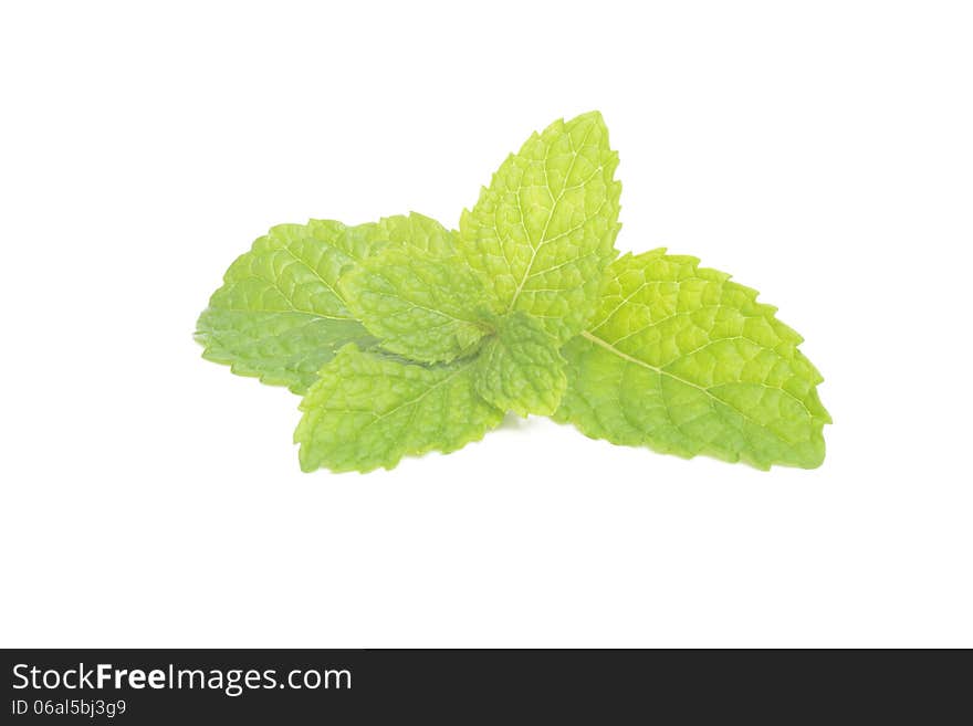 Peppermint isolated on white background