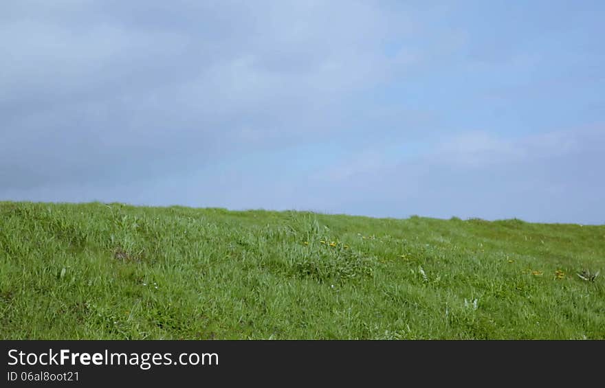 Grass And Blue Sky Green And Blue 1080p Space For Text Intro