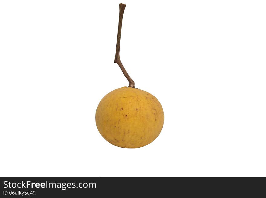 Santol fruit isolated on white background