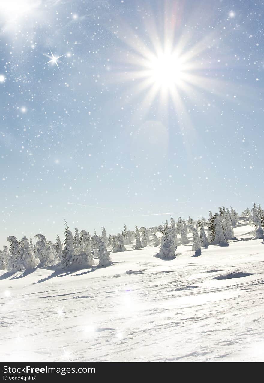 Christmas background with snowy fir trees