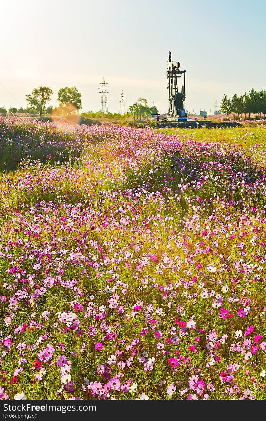 The photo taken in China's heilongjian province daqing city,daqing oil field.The time is September 18, 2013. The photo taken in China's heilongjian province daqing city,daqing oil field.The time is September 18, 2013.