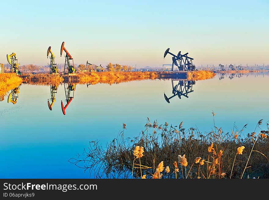 The photo taken in China's heilongjian province daqing city,chenjiadayuan lake.The time is November 4, 2013. The photo taken in China's heilongjian province daqing city,chenjiadayuan lake.The time is November 4, 2013.