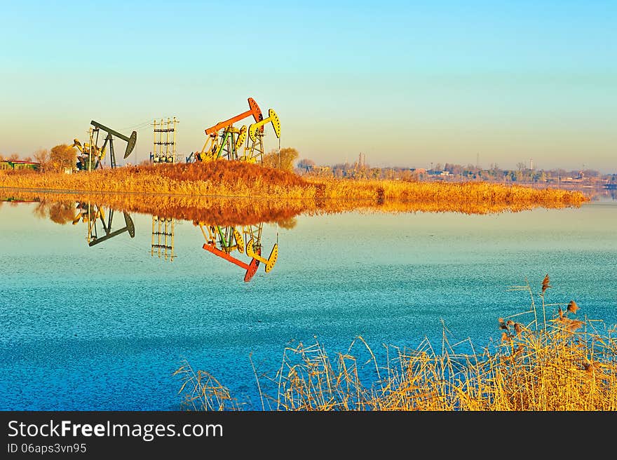 The photo taken in China's heilongjian province daqing city,chenjiadayuan lake.The time is November 4, 2013. The photo taken in China's heilongjian province daqing city,chenjiadayuan lake.The time is November 4, 2013.