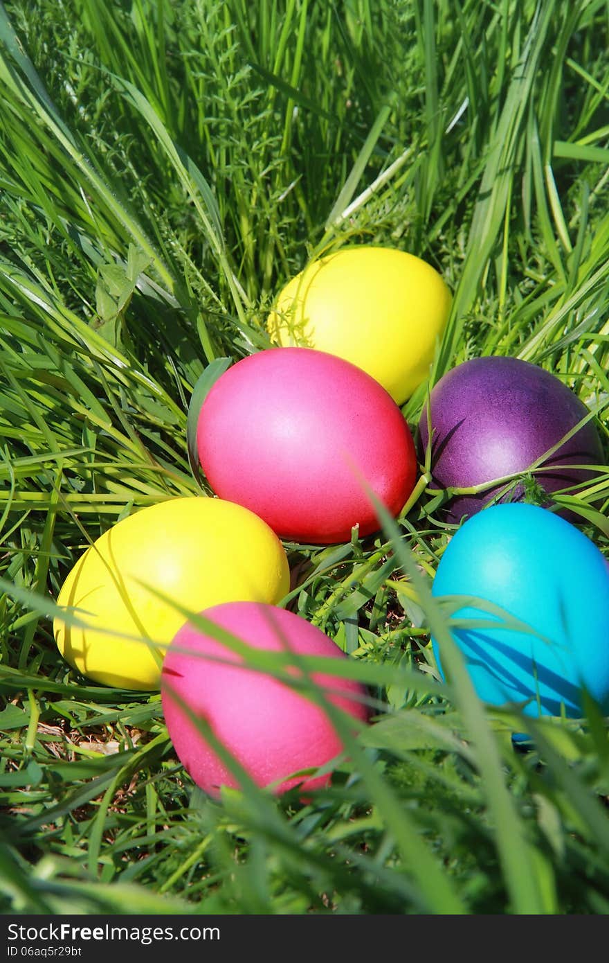 Colorful Easter eggs on the grass close up on a sunny day