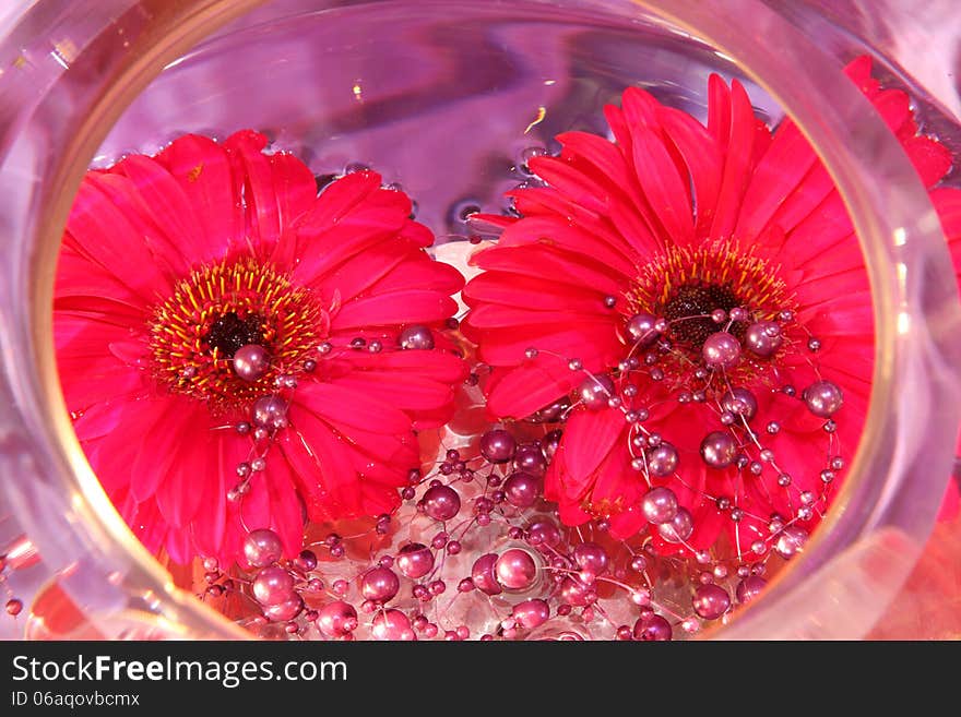 Decoration with daisies floating in water in a glass bowl. Decoration with daisies floating in water in a glass bowl.