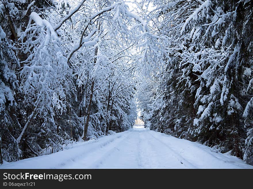 Winter landscape with the forest and the road