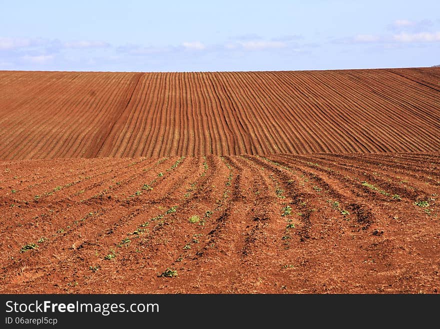 Recently ploughed field with deep red soil. Recently ploughed field with deep red soil