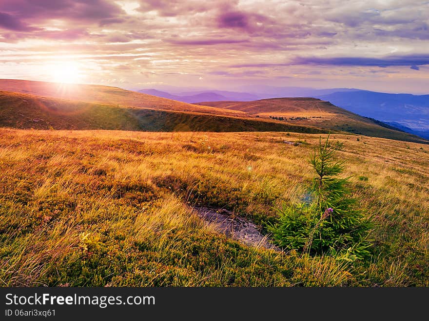 Light on stone mountain slope with forest