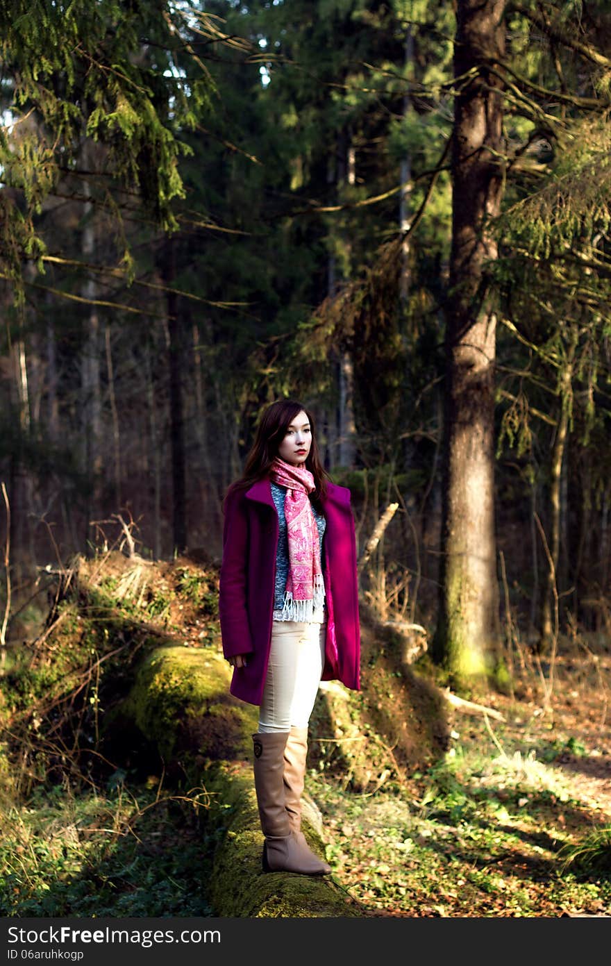 Woman in pink coat in forest. Woman in pink coat in forest