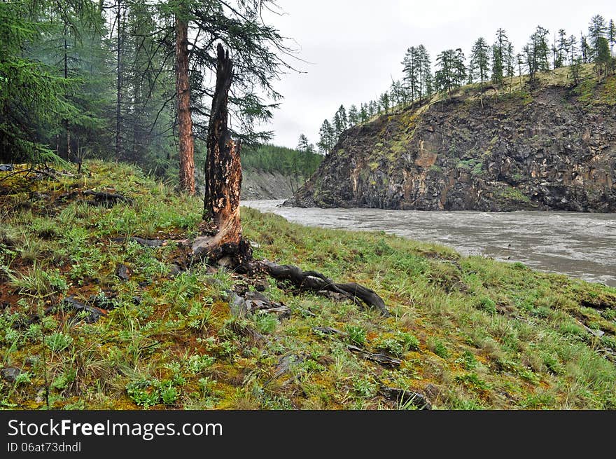 Water summer landscape surrounding the river Suntar in the Highlands of Oymyakon, Yakutia, Russia. Water summer landscape surrounding the river Suntar in the Highlands of Oymyakon, Yakutia, Russia.