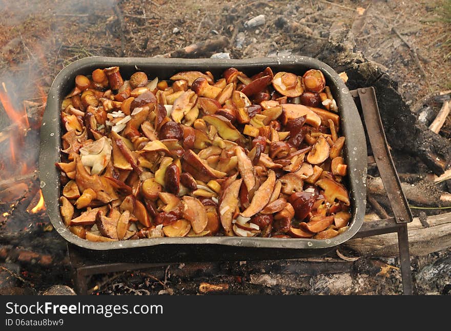 Fried mushrooms.