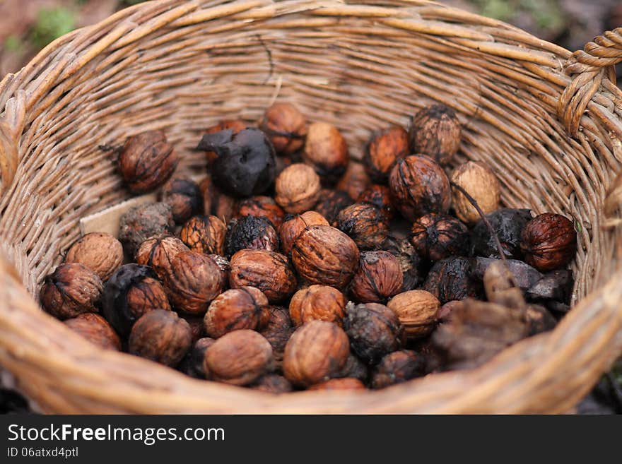 A lot of nuts in a wicker basket. A lot of nuts in a wicker basket