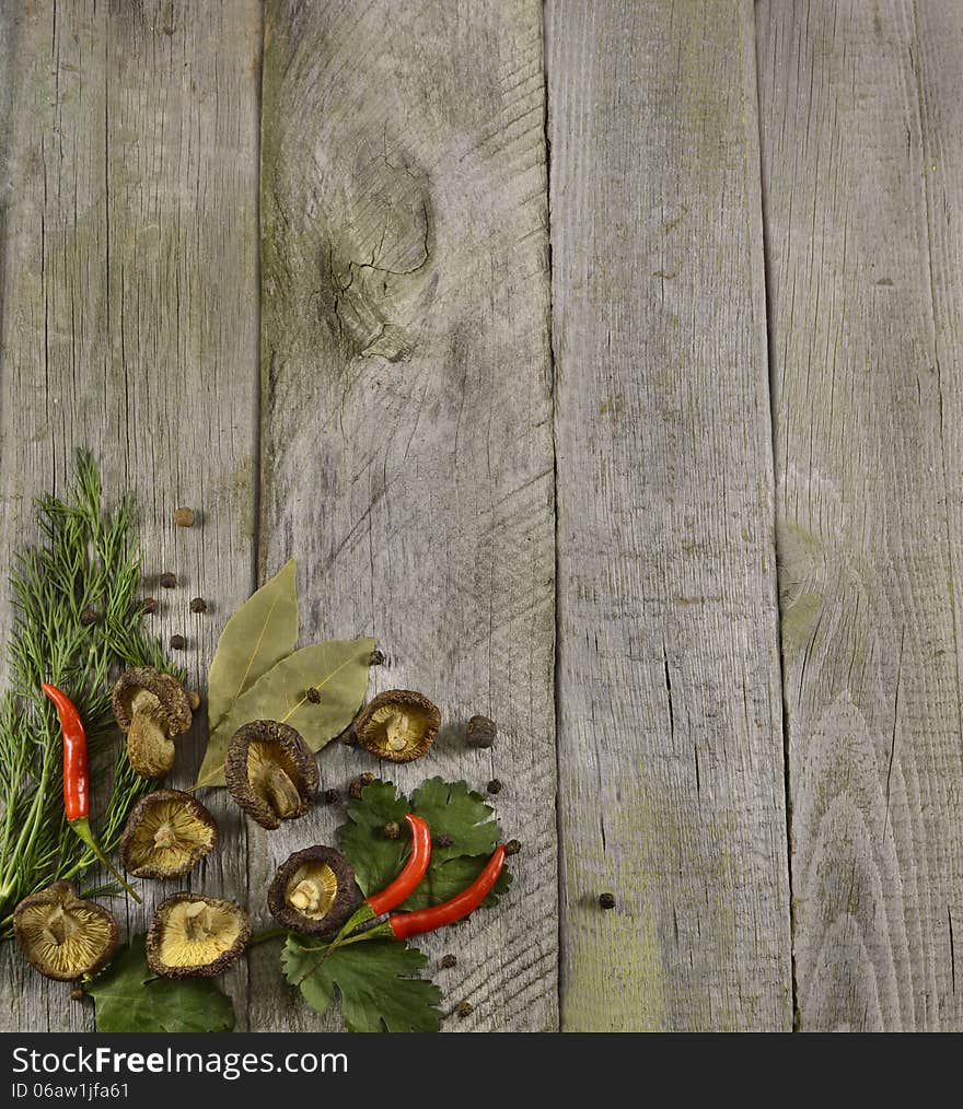 Dry mushrooms border vertical on wood. Dry mushrooms border vertical on wood