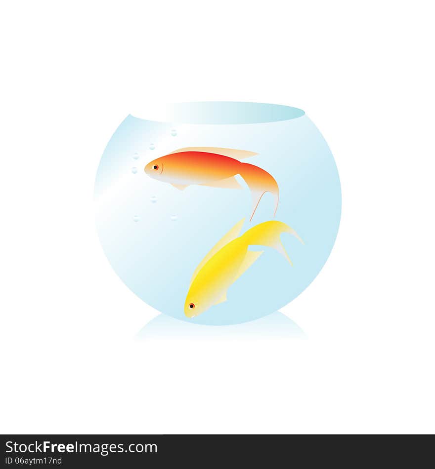 Fish. Two fish in an aquarium on a white background