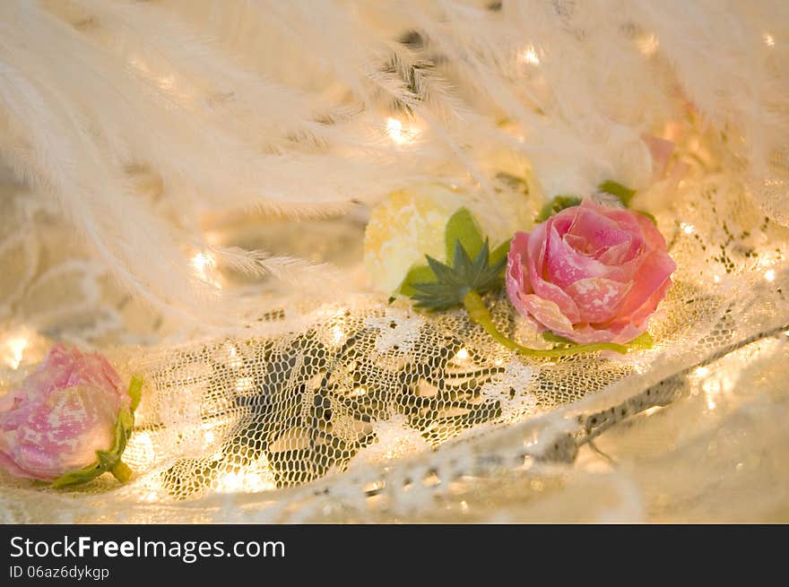 Roses and feather on lace with soft lighting. Roses and feather on lace with soft lighting