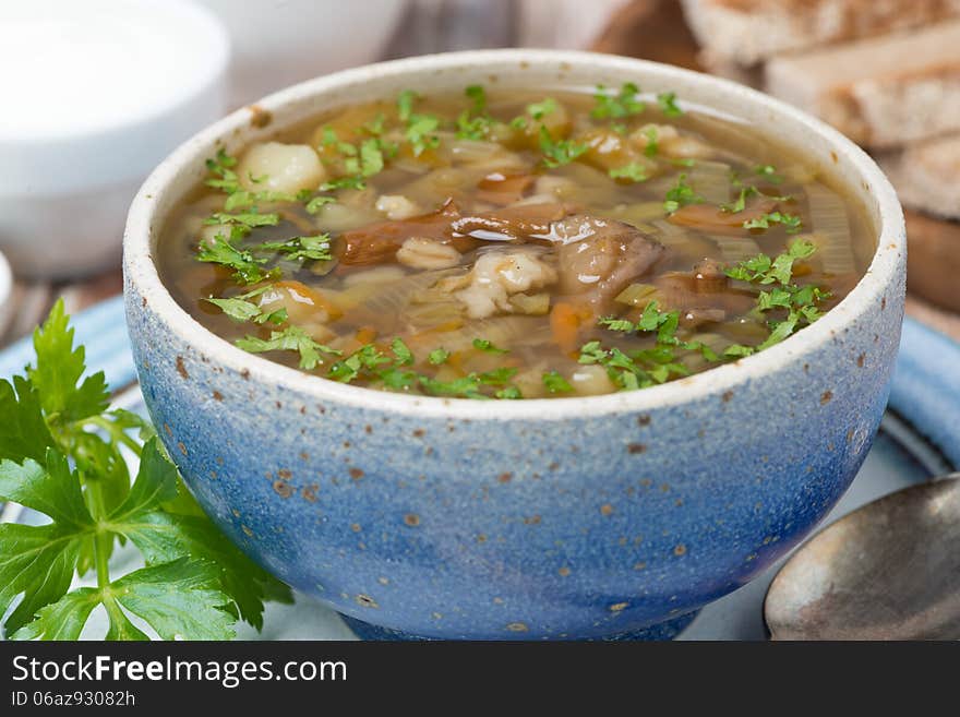 Mushroom soup with pearl barley, close-up