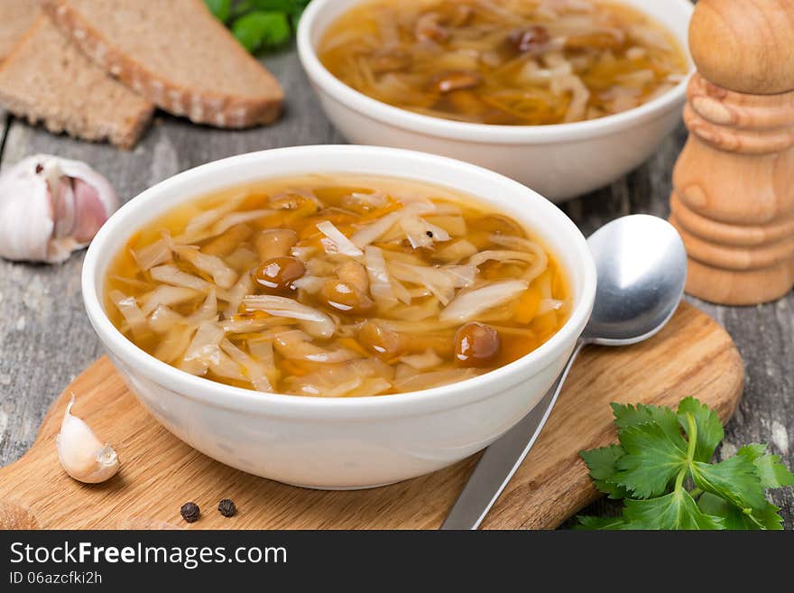 Traditional Russian cabbage soup (shchi) with wild mushrooms and garlic, top view, horizontal. Traditional Russian cabbage soup (shchi) with wild mushrooms and garlic, top view, horizontal