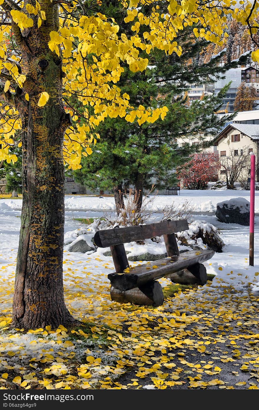 Bench in the park with yellow leaves and snow