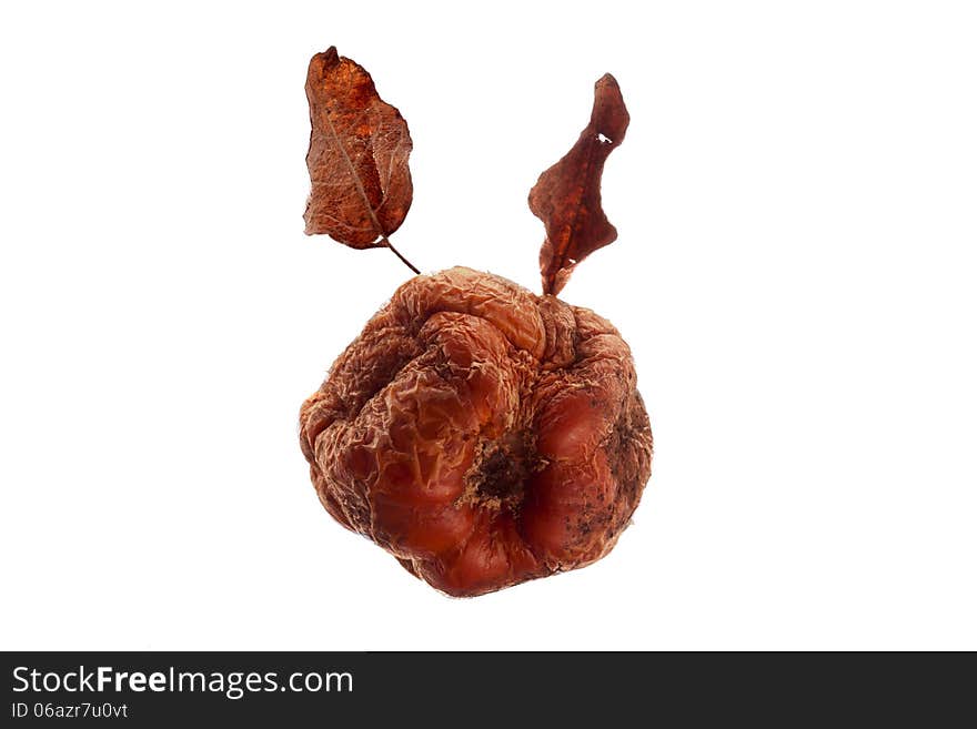 Dried Apple