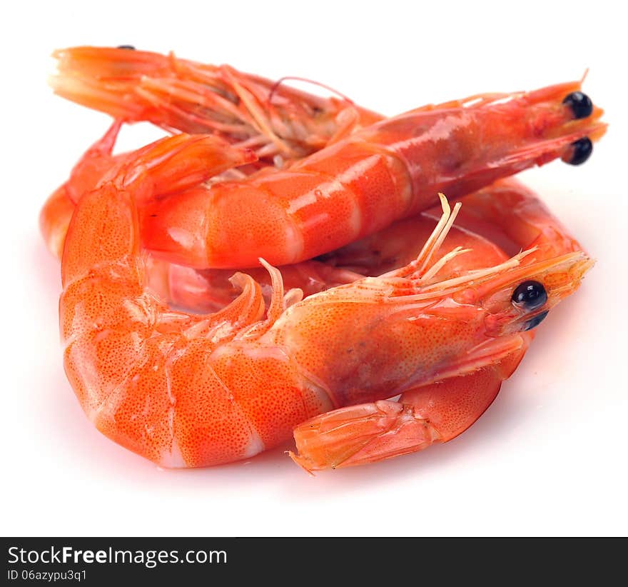 Fresh Shrimp