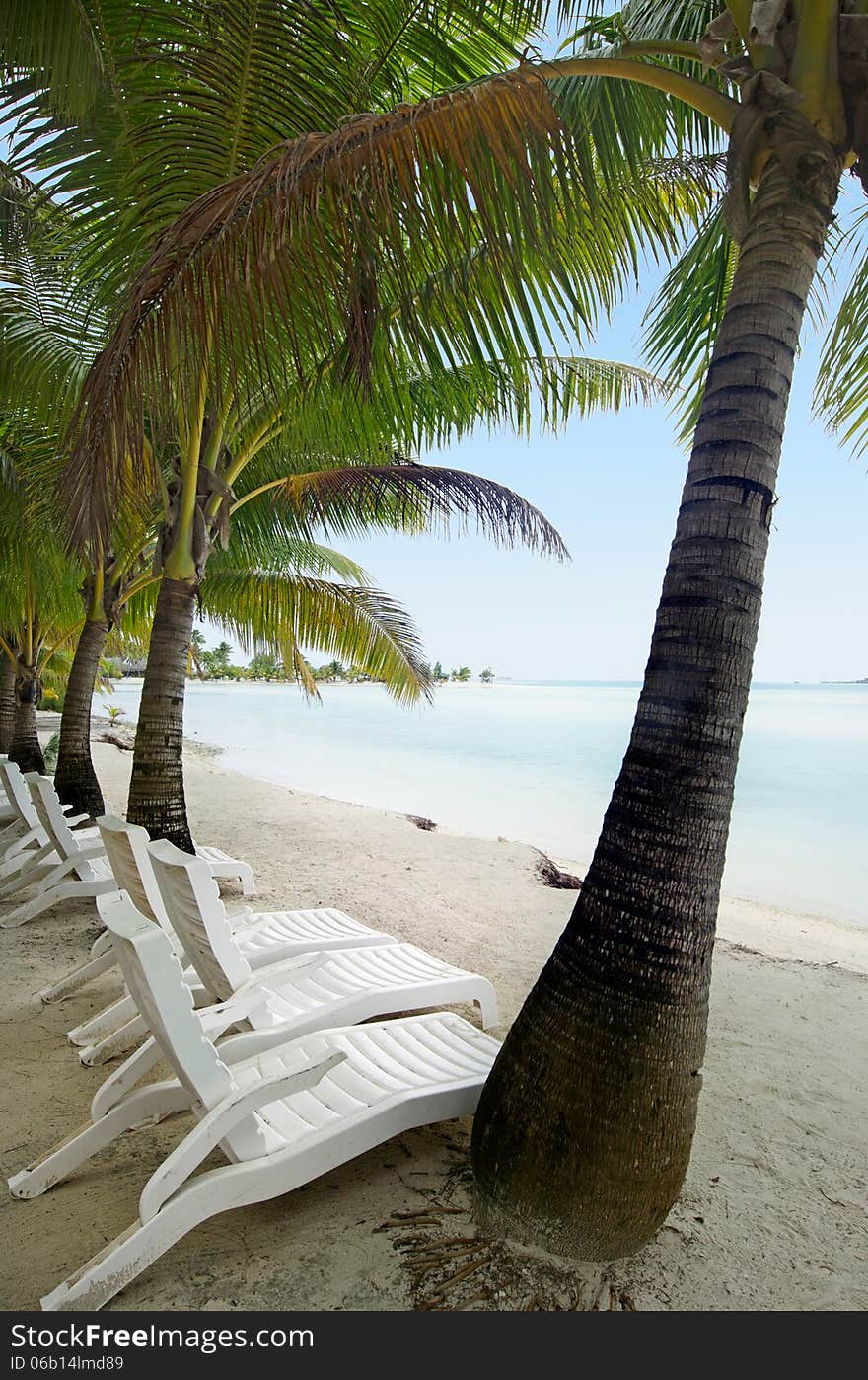 Empty beach chairs on Arutanga island in Aitutaki Lagoon Cook Islands. Empty beach chairs on Arutanga island in Aitutaki Lagoon Cook Islands.