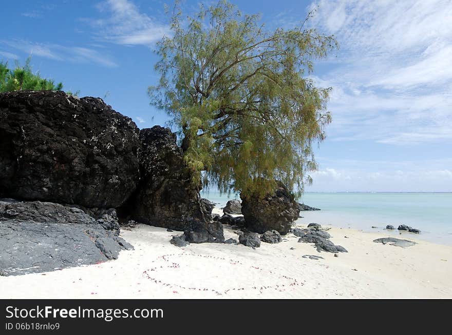 Landscape of  Arutanga island in Aitutaki Lagoon Cook Islands