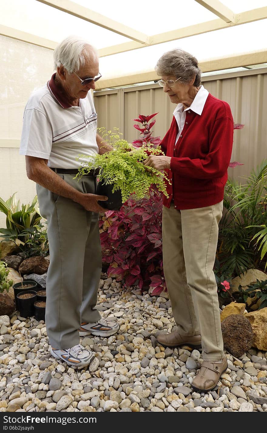 An elderly couple inspect the leaves of a potted fern from their shade house. An elderly couple inspect the leaves of a potted fern from their shade house.