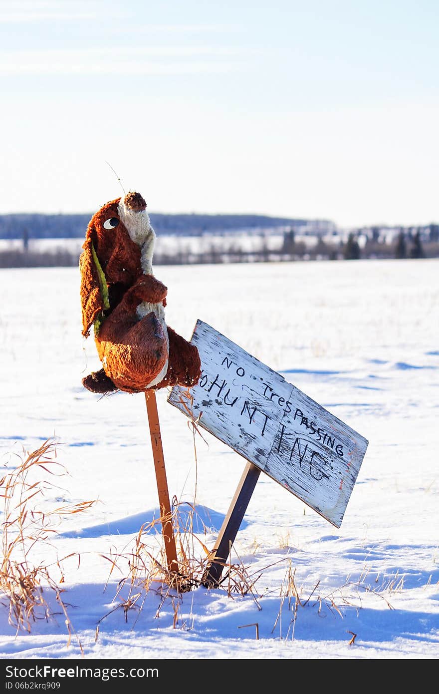 A stuffed rabbit beside a no hunting sign