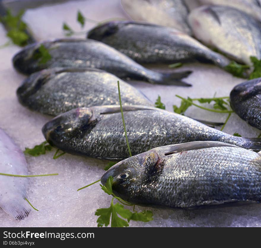 Showcase of seafood