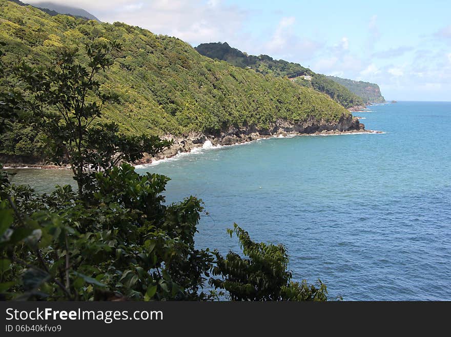 Taken in the north eastern area of Dominica in the Caribbean. Taken in the north eastern area of Dominica in the Caribbean.