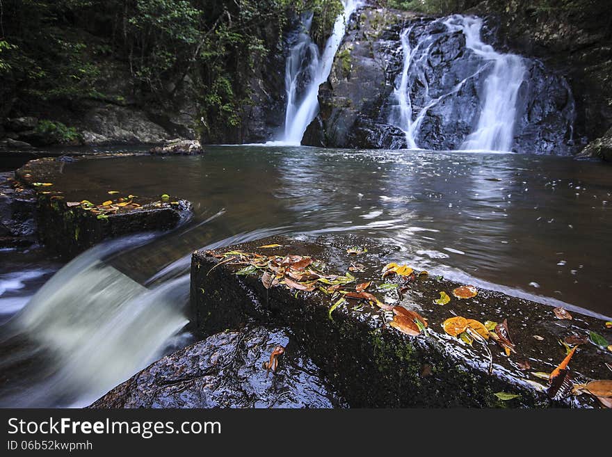 Rainforest waterfall