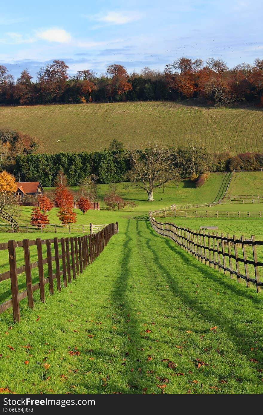 An English Rural Landscape In Autumn