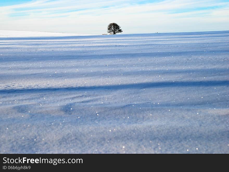 Beautiful winter landscape, Kiev region, Ukraine