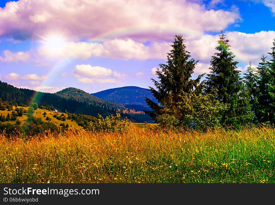 Meadow with in the mountains