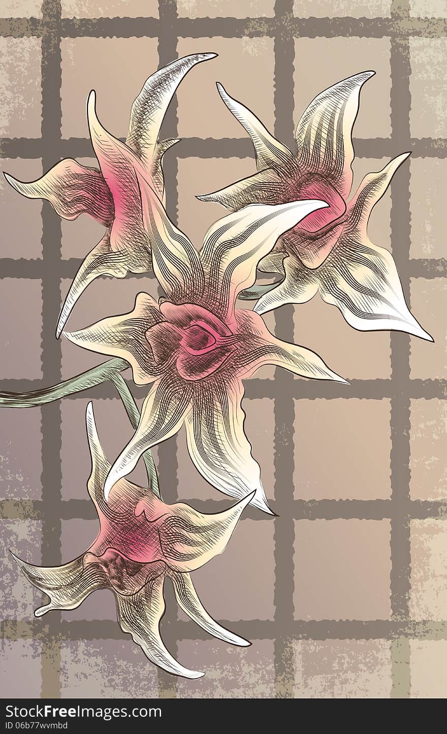 Illustration with branch of orchids drawn in vintage style. Illustration with branch of orchids drawn in vintage style