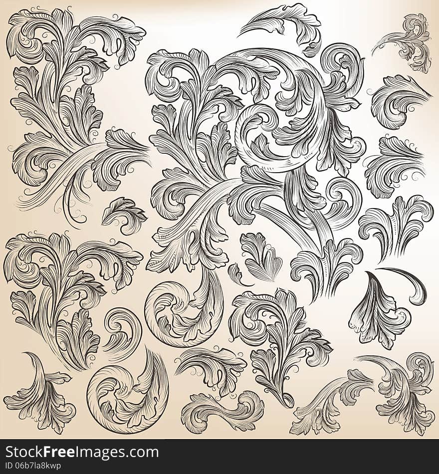 Vector set of calligraphic elements for design. Calligraphic vector. Vector set of calligraphic elements for design. Calligraphic vector