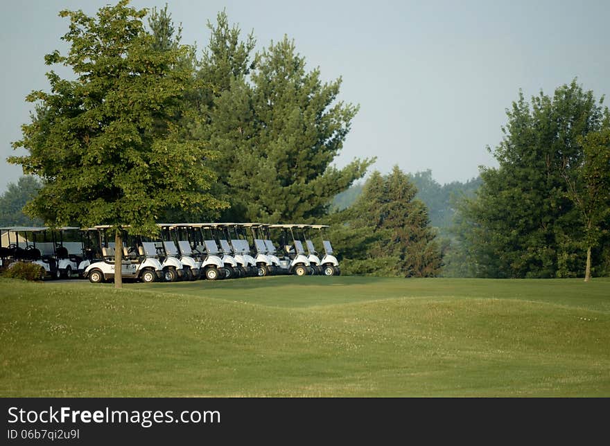 Golf Carts lined up and ready to face the day. Golf Carts lined up and ready to face the day