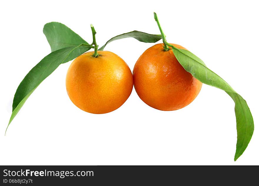 Bright Tangerines